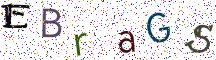 EBraGS