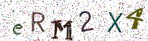 eRM2X4