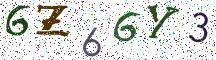 6Z66Y3
