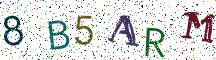 8B5ARM