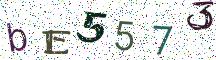 bE5573