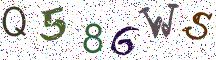 Q586WS