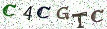 C4CGTC