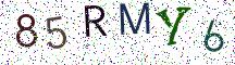 85RMY6