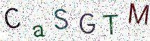 CaSGTM