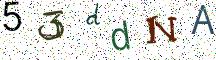 53ddNA