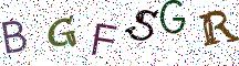 BGFSGR