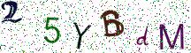 25YBdM