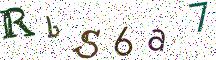 RbS6a7