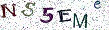 NS5EMe