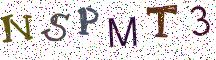 NSPMT3