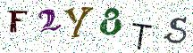 F2Y8TS