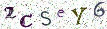 2CSeY6