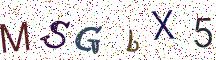 MSGbX5