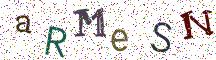 aRMeSN