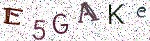 E5GAKe