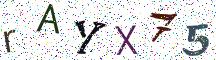 rAYX75