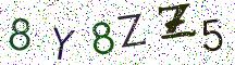 8Y8ZZ5