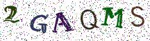 2GAQMS