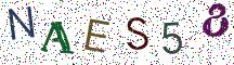 NAES58