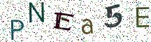 PNEa5E