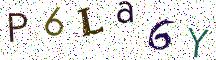 P6La6Y
