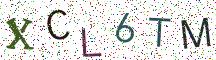 XCL6TM