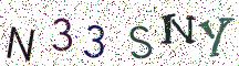N33SNY
