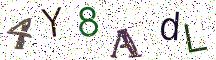 4Y8AdL
