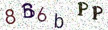 8B6bPP