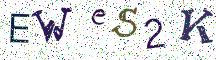 EWeS2K