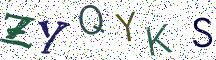 ZYQYKS