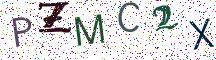 PZMC2X