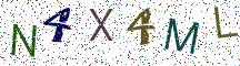 N4X4ML