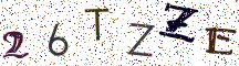 26TZZE