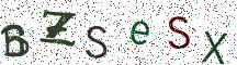 BZSeSX