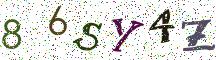 86SY4Z