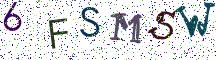 6FSMSW