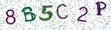 8B5C2P