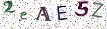 2eAE5Z