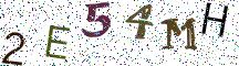 2E54MH