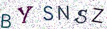 BYSNSZ
