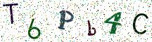 T6Pb4C