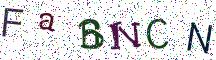 FaBNCN