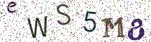 eWS5M8