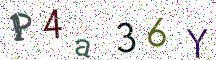 P4a36Y