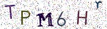 TPM6Hr