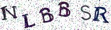 NLBBSR