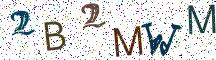 2B2MWM