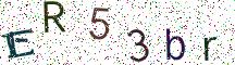 ER53br